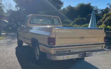 Chevrolet-scottsdale-c10-1982-4