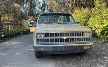 Chevrolet-scottsdale-c10-1982-5