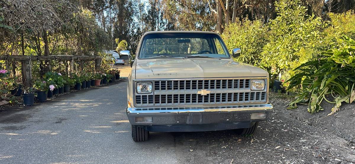 Chevrolet-scottsdale-c10-1982-5