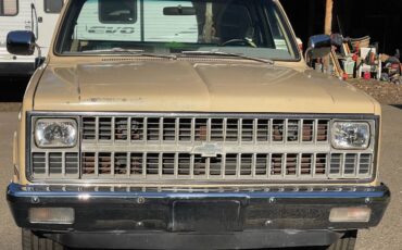 Chevrolet-scottsdale-c10-1982-6