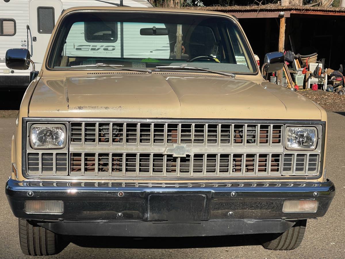 Chevrolet-scottsdale-c10-1982-6