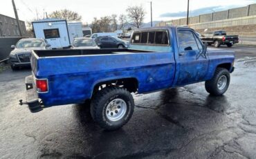Chevrolet-silverado-1500-1977-19