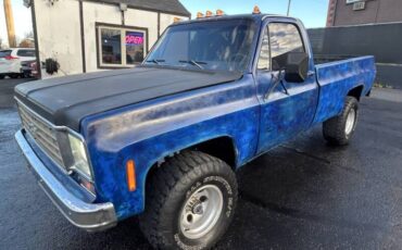 Chevrolet-silverado-1500-1977-6