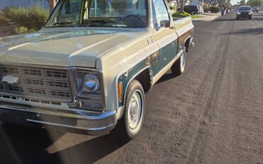 Chevrolet-silverado-1500-1978-1