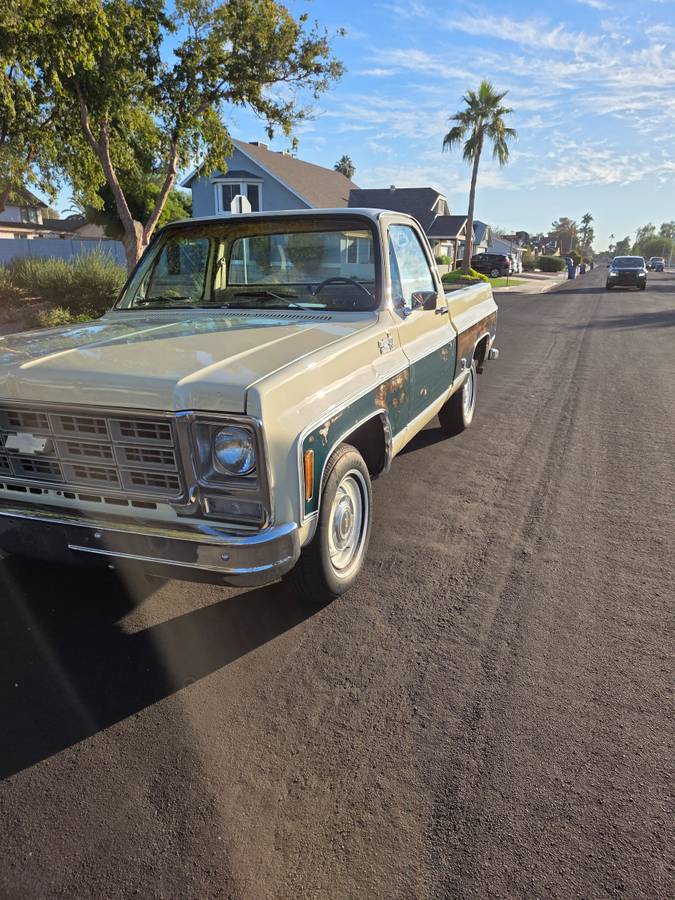 Chevrolet-silverado-1500-1978-1