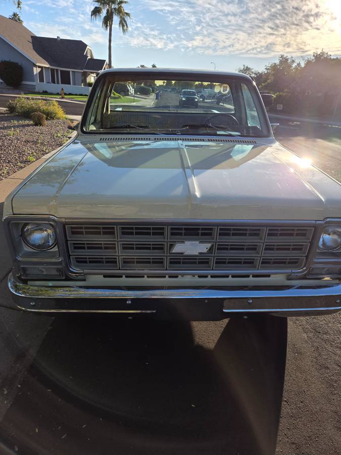 Chevrolet-silverado-1500-1978-20