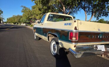 Chevrolet-silverado-1500-1978-21