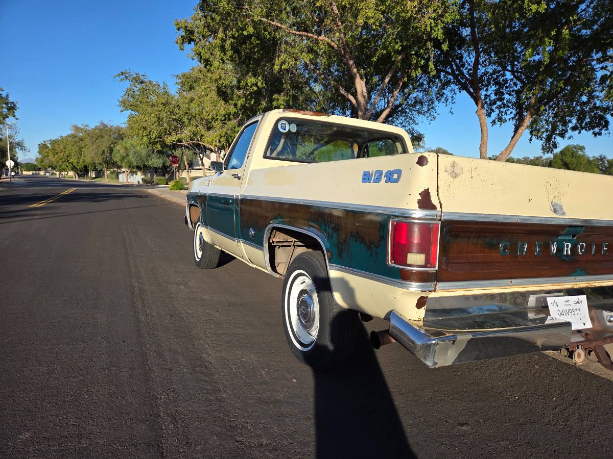 Chevrolet-silverado-1500-1978-21