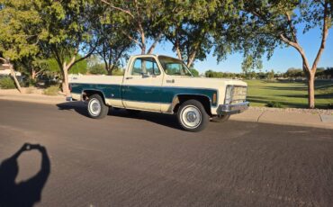 Chevrolet-silverado-1500-1978-27