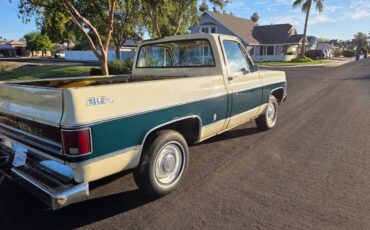 Chevrolet-silverado-1500-1978-28