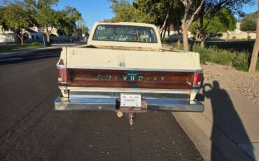 Chevrolet-silverado-1500-1978-4