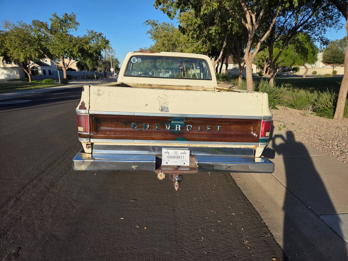 Chevrolet-silverado-1500-1978-4