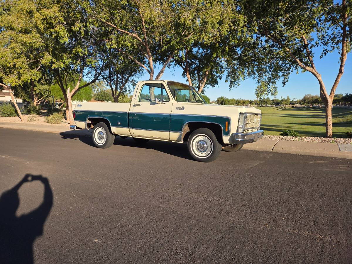 Chevrolet-silverado-1500-1978-7