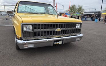 Chevrolet-silverado-1500-1981-yellow-3