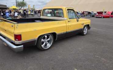 Chevrolet-silverado-1500-1981-yellow-5