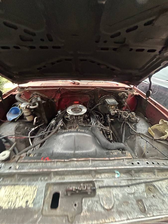 Chevrolet-silverado-1500-1982-10