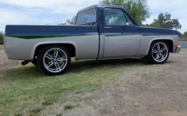 Chevrolet-silverado-1500-1982-blue-1