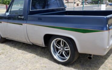 Chevrolet-silverado-1500-1982-blue-10