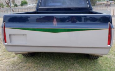 Chevrolet-silverado-1500-1982-blue-11