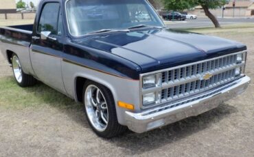 Chevrolet-silverado-1500-1982-blue-12