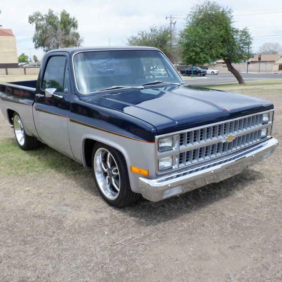 Chevrolet-silverado-1500-1982-blue-12