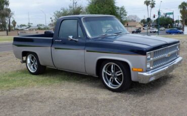 Chevrolet-silverado-1500-1982-blue-13