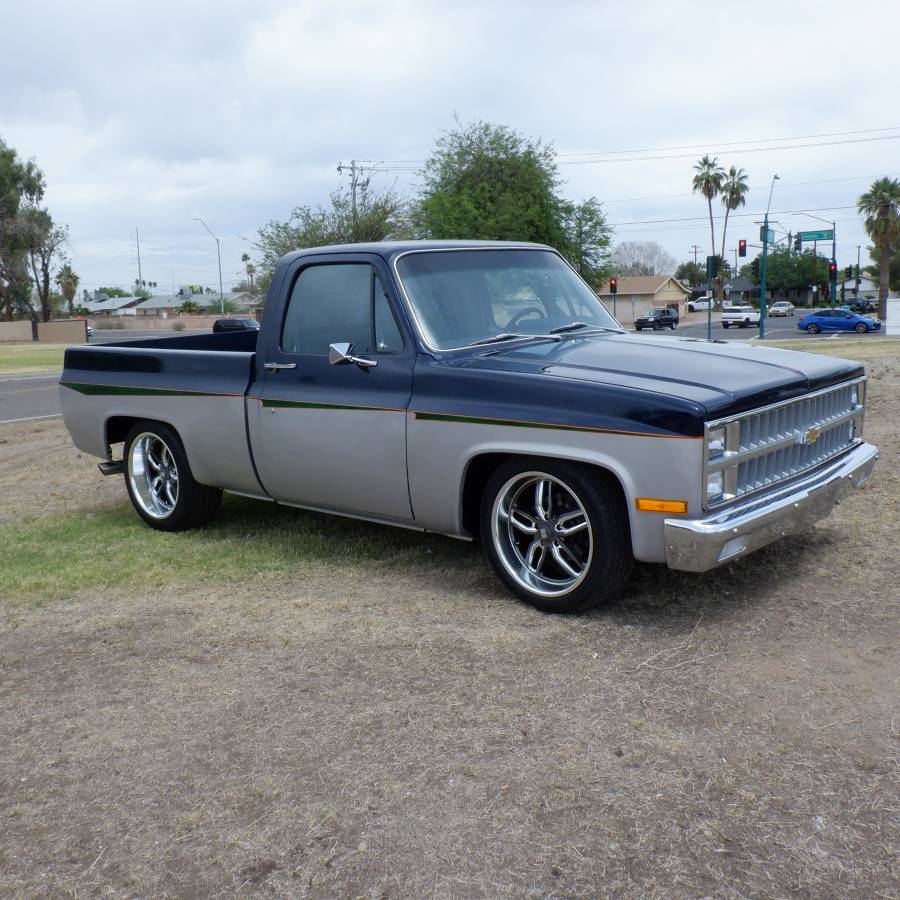 Chevrolet-silverado-1500-1982-blue-13