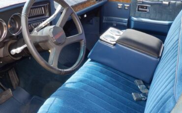 Chevrolet-silverado-1500-1982-blue-2