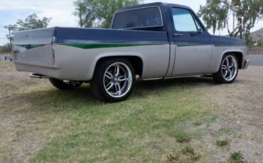 Chevrolet-silverado-1500-1982-blue
