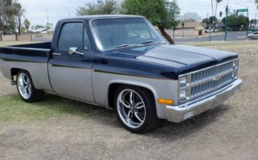 Chevrolet-silverado-1500-1982-blue-8