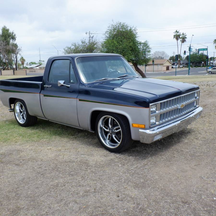 Chevrolet-silverado-1500-1982-blue-8