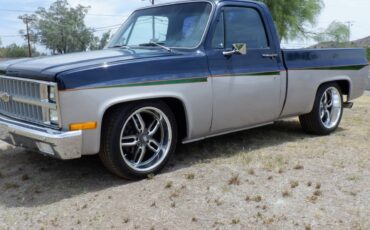 Chevrolet-silverado-1500-1982-blue-9