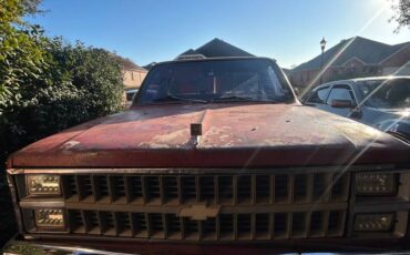 Chevrolet-silverado-1500-1982-red-17