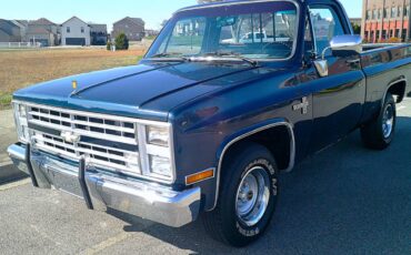 Chevrolet-silverado-1500-1985-blue-11