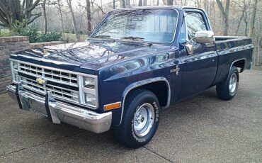 Chevrolet-silverado-1500-1985-blue-2