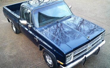 Chevrolet-silverado-1500-1985-blue-22