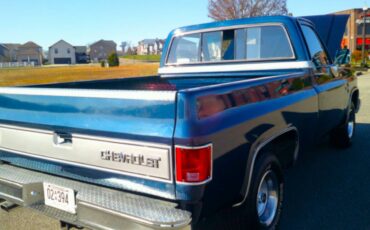 Chevrolet-silverado-1500-1985-blue-5