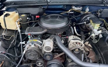 Chevrolet-silverado-1500-1994-blue-8