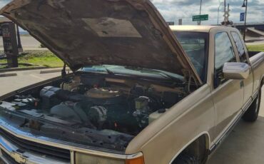 Chevrolet-silverado-1500-1994-grey-19