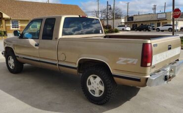 Chevrolet-silverado-1500-1994-grey-7