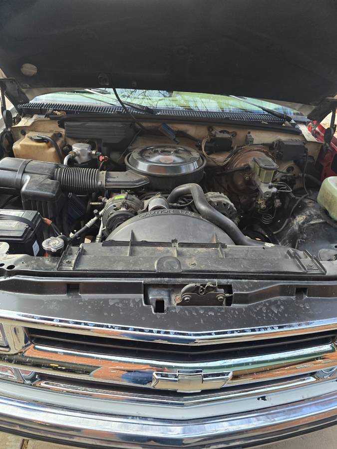 Chevrolet-silverado-1500-1994-white-5