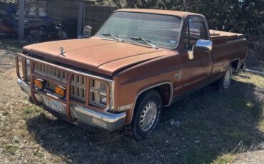 Chevrolet-silverado-1500-diesel-1982-brown-10