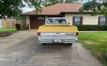 Chevrolet-silverado-1981-yellow-2