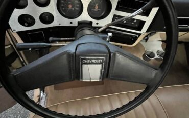 Chevrolet-silverado-1983-13
