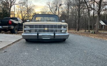 Chevrolet-silverado-1983-18