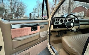 Chevrolet-silverado-1983-5