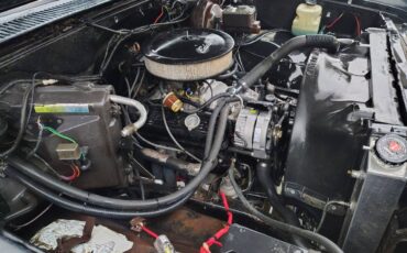 Chevrolet-silverado-1983-black-4