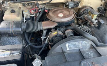 Chevrolet-stepside-obs.-1989-brown-4