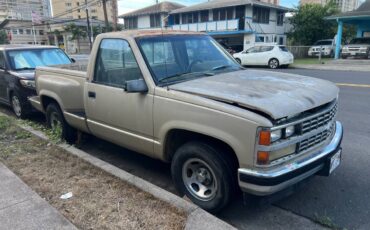 Chevrolet-stepside-obs.-1989-brown-5