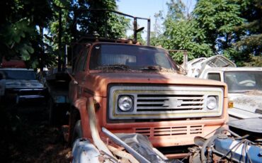 Chevrolet-trucks-1991-custom-21